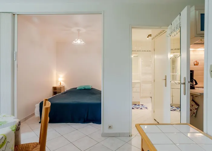 Appartement Plein Sud-17 By Interhome *